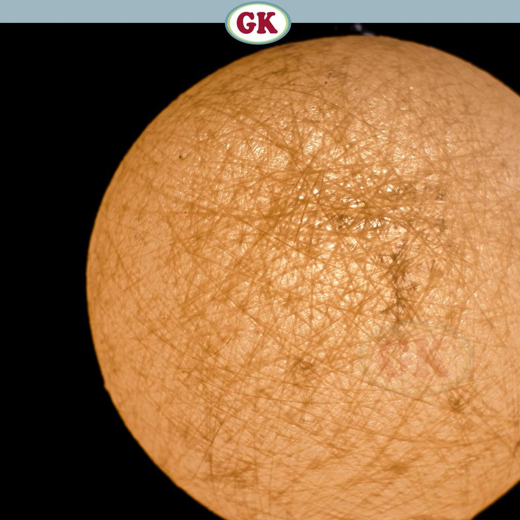 Kap Lampu Gantung Bola FIBER - Artistic Fiber Lampshade Perfect Interior Decor for Livingroom, Bedroom, or Longue.